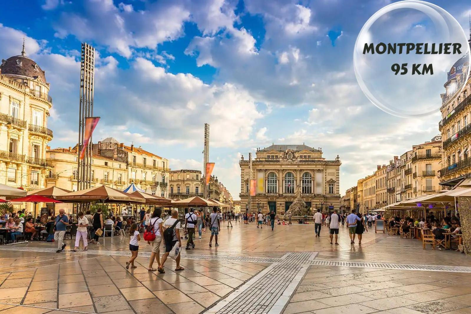 Le Cosy Du Gal, A 2 Pas Du Palais Des Papes Parking Gratuit Securise Apartment Avignon Luaran gambar