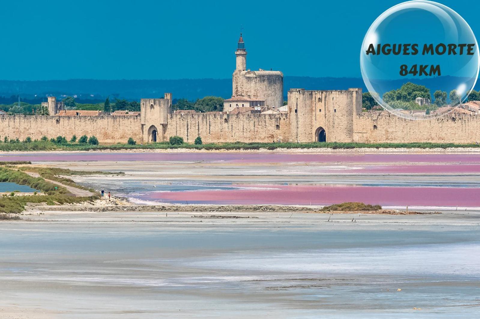 Le Cosy Du Gal, A 2 Pas Du Palais Des Papes Parking Gratuit Securise Apartment Avignon Luaran gambar
