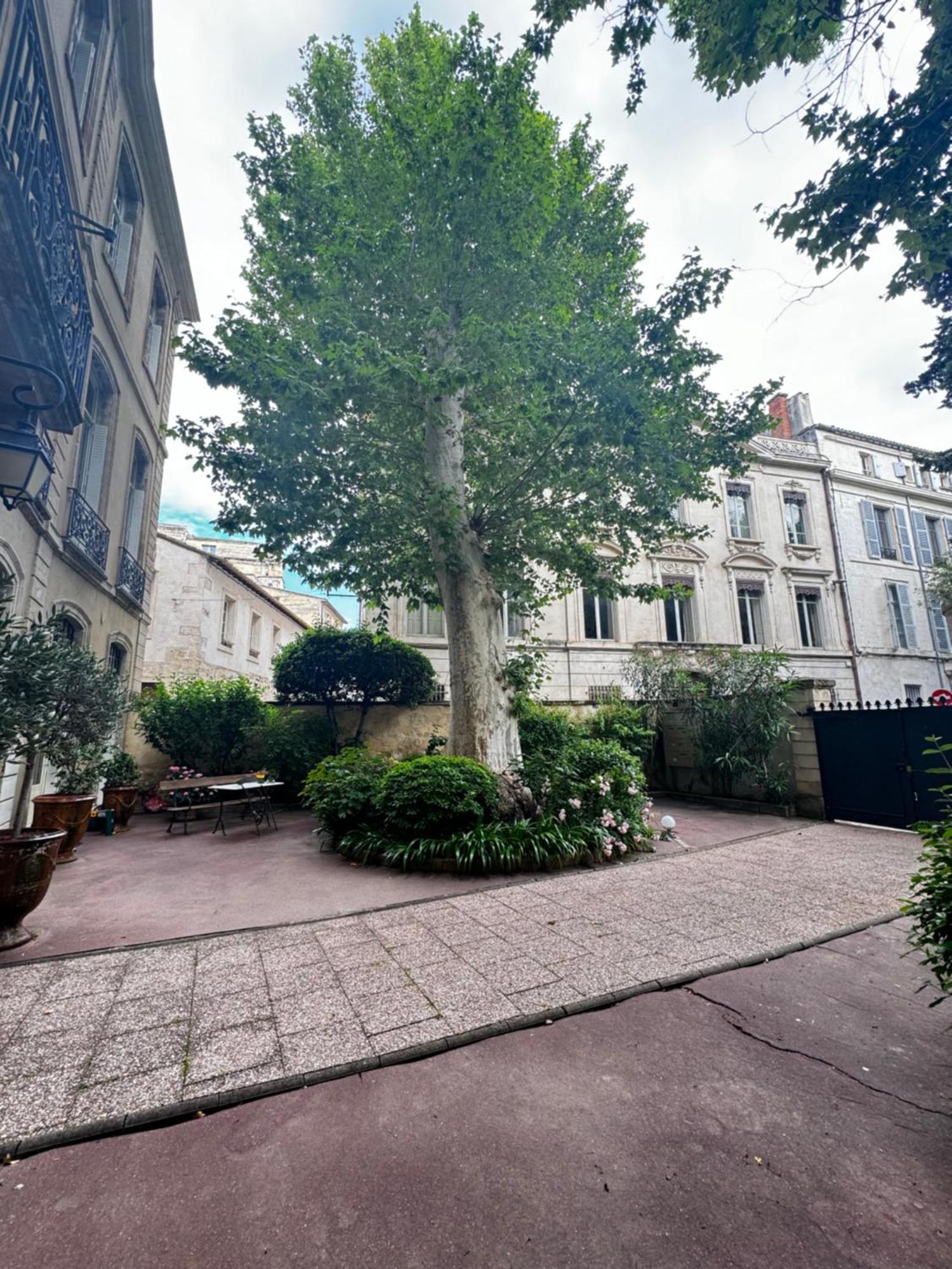 Le Cosy Du Gal, A 2 Pas Du Palais Des Papes Parking Gratuit Securise Apartment Avignon Luaran gambar